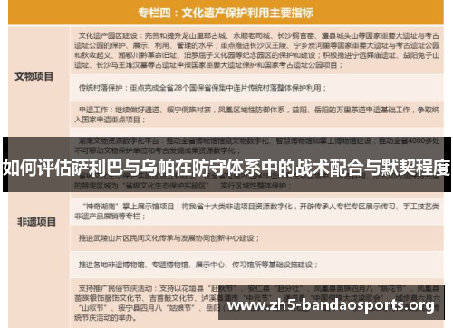 如何评估萨利巴与乌帕在防守体系中的战术配合与默契程度