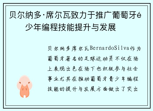 贝尔纳多·席尔瓦致力于推广葡萄牙青少年编程技能提升与发展