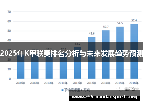 2025年K甲联赛排名分析与未来发展趋势预测