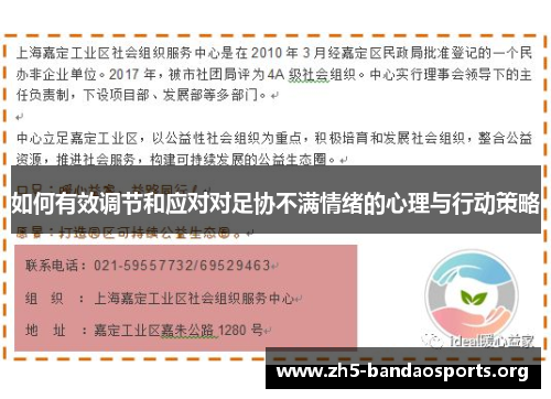 如何有效调节和应对对足协不满情绪的心理与行动策略