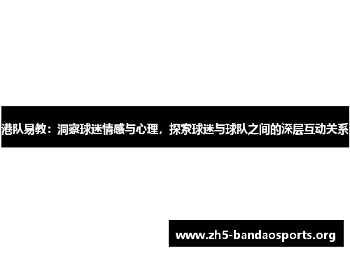港队易教：洞察球迷情感与心理，探索球迷与球队之间的深层互动关系