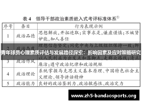 青年球员心理素质评估与发展路径探索：影响因素及应对策略研究